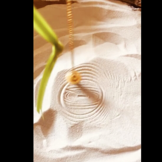 MallikaParitosh WindArt