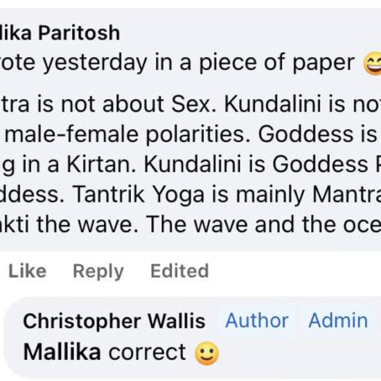 a screenshot of a chat about the definition of Tantra