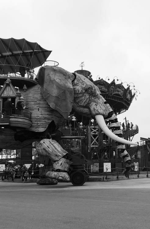 46451149 10217961472216969 6215996431086387200 n