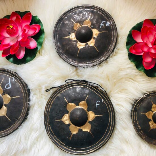 481023132 10236282367827909 1964342447020849843 n