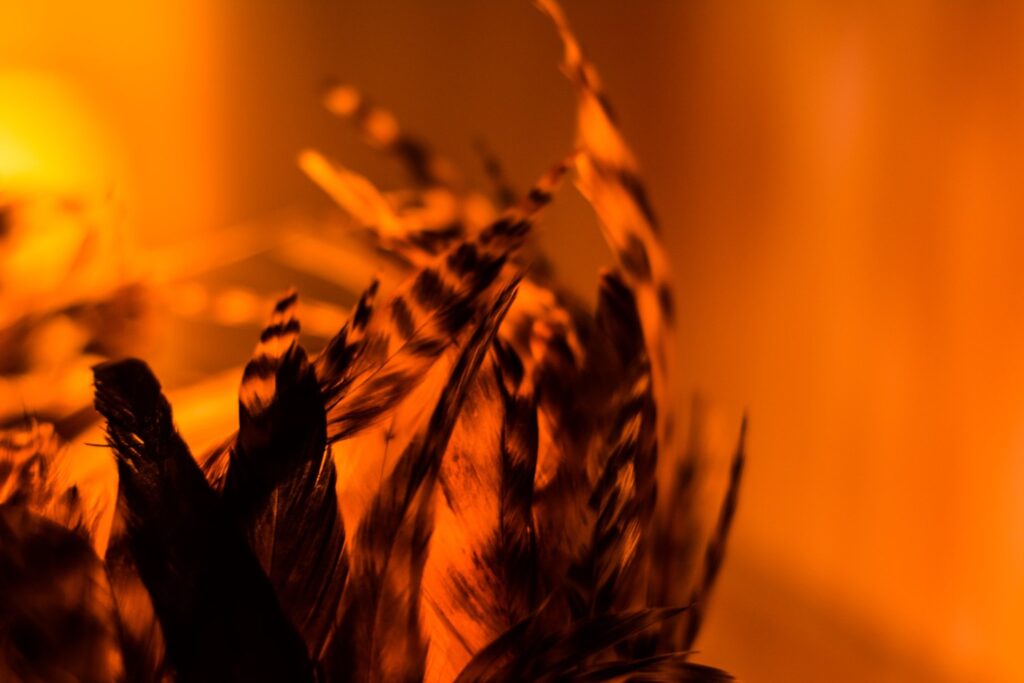 87667494 10221978273434489 1879009816467210240 n