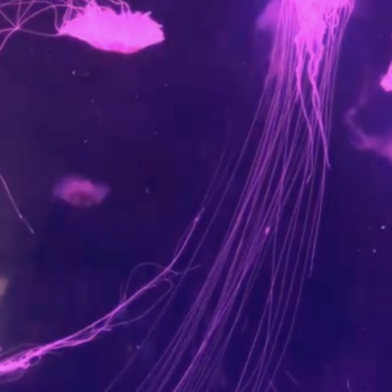 Screenshot 2025 03 03 at 00.12.52