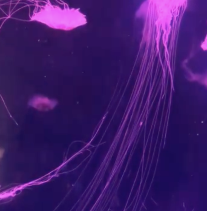 Screenshot 2025 03 03 at 00.12.52